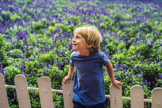 Happy boy tourist in lavender summer field. Traveling with children concept.