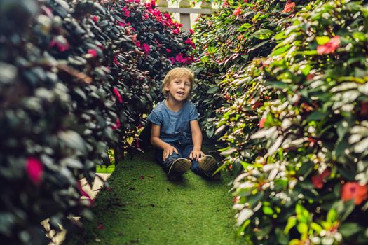 A boy enjoys flowers in a flower greenhouse.