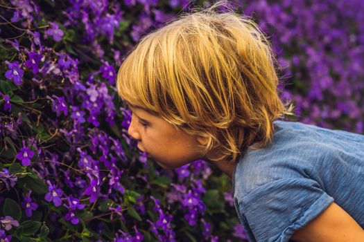 A boy enjoys flowers in a flower greenhouse.