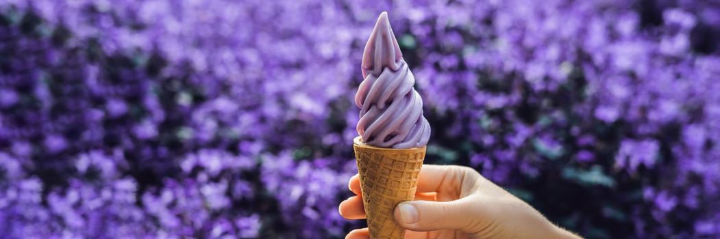 A female hand holds a lavender ice cream on the background of a lavender field. BANNER long format