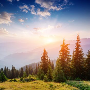 Beautiful summer mountain landscape. Blue color of mountains during sunset. Dramatic scene. Carpathian, Ukraine, Europe. Artistic picture. Soft filter effect.