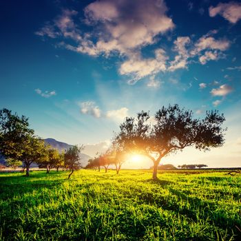 The sun sets on the mountain. Beauty world Sicily Italy Europe