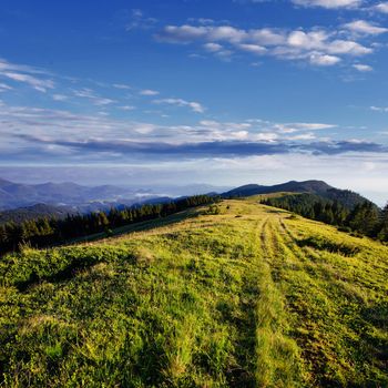 Beautiful summer mountain landscape. Dramatic scene. Carpathian, Ukraine, Europe. Artistic picture Soft filter effect