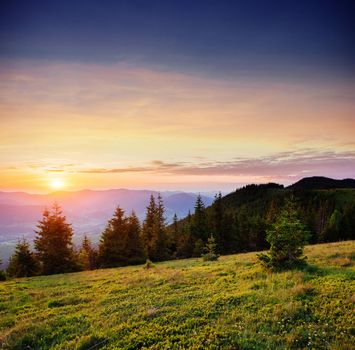 Beautiful summer mountain landscape. Blue color of mountains during sunset. Dramatic scene. Carpathian, Ukraine, Europe. Artistic picture. Soft filter effect.
