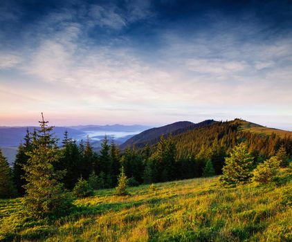 Beautiful summer mountain landscape. Dramatic scene. Carpathian, Ukraine, Europe. Artistic picture Soft filter effect