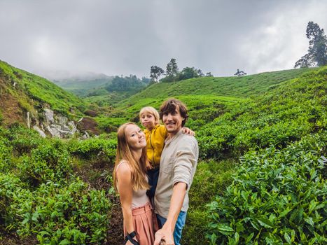 Mother, Father and son are traveling on a tea plantation in Malaysia. Traveling with children concept.