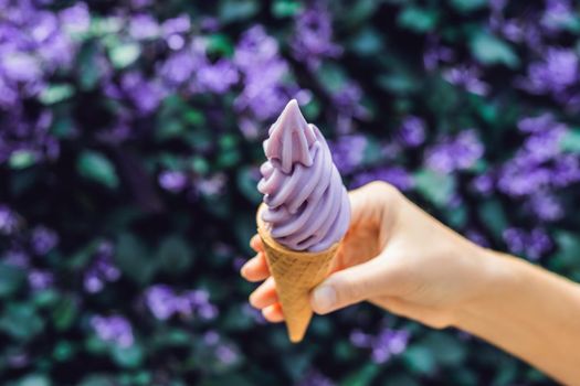 A female hand holds a lavender ice cream on the background of a lavender field.