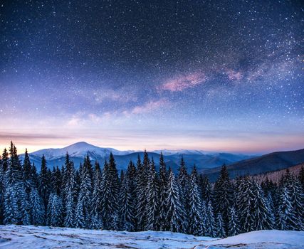 Dairy Star Trek in the winter woods. Dramatic and picturesque scene. Carpathian, Ukraine, Europe.