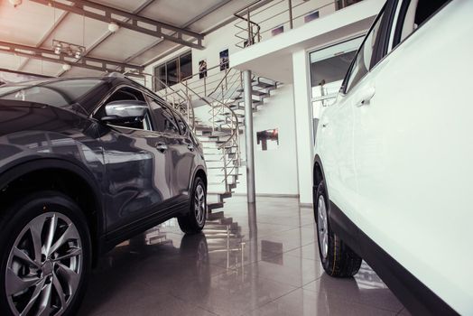 of the car in the spacious showroom with large windows.