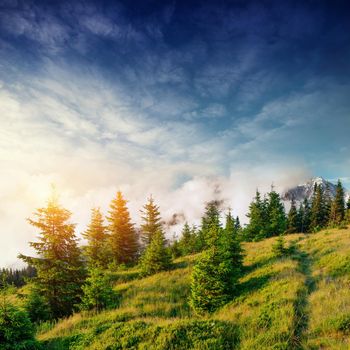 Beautiful summer mountain landscape. Blue color of mountains during sunset. Dramatic scene. Carpathian, Ukraine, Europe. Artistic picture. Soft filter effect.