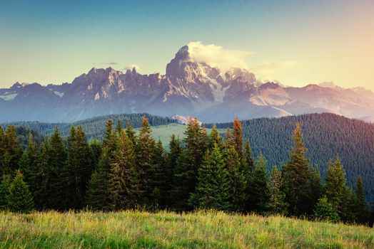 Beautiful summer mountain landscape. Dramatic scene. Carpathian, Ukraine, Europe. Artistic picture Soft filter effect