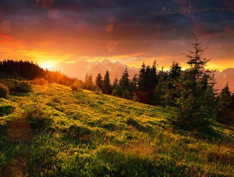 Beautiful summer mountain landscape. Blue color of mountains during sunset. Dramatic scene. Carpathian, Ukraine, Europe. Artistic picture. Soft filter effect.