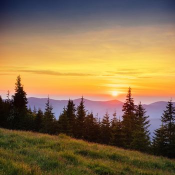 Beautiful summer mountain landscape. Blue color of mountains during sunset. Dramatic scene. Carpathian, Ukraine, Europe. Artistic picture. Soft filter effect.