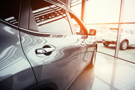 of the car in the spacious showroom with large windows.