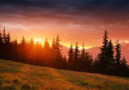 Beautiful summer mountain landscape. Blue color of mountains during sunset. Dramatic scene. Carpathian, Ukraine, Europe. Artistic picture. Soft filter effect.