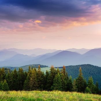 Beautiful summer mountain landscape. Blue color of mountains during sunset. Dramatic scene. Carpathian, Ukraine, Europe. Artistic picture. Soft filter effect.