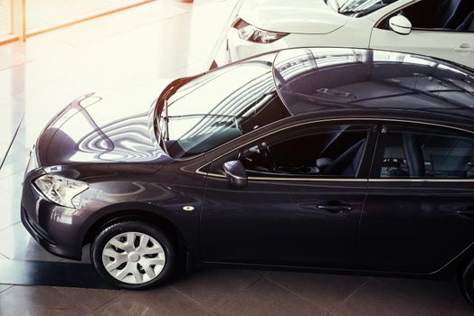 of the car in the spacious showroom with large windows.