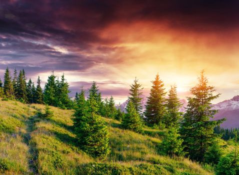 Colorful sky at sunset in the mountains. Fantastic cumulus clouds. Carpathians. Ukraine. Europe