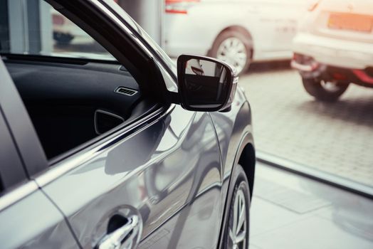 of the car in the spacious showroom with large windows.