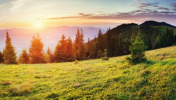 colorful sky with sun background in mountains. sunset, sunrise. Ukraine. Europe