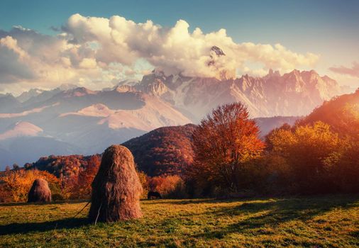 autumn alley. Fantastic cumulus clouds, dramatic sky. Sunset. Carpathian Ukraine Europe