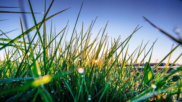 green grass. Fantastic views the beauty of the world