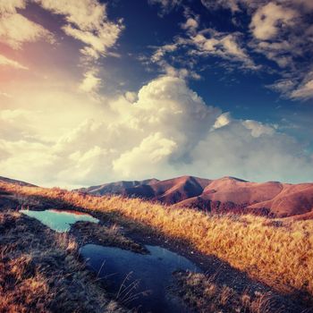 autumn alley. Dramatic morning scenery. Carpathian Ukraine Europe