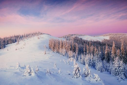 Mysterious winter landscape majestic mountains in winter. Magical winter snow covered tree. Europe