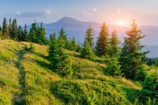 FantaFantastic foggy day and bright hills by sunlight. Dramatic morning scenery. Carpathian, Ukraine, Europe. Dramatic morning scenery. Carpathian, Ukraine Europe