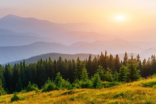 FantaFantastic foggy day and bright hills by sunlight. Dramatic morning scenery. Carpathian, Ukraine, Europe. Dramatic morning scenery. Carpathian, Ukraine Europe