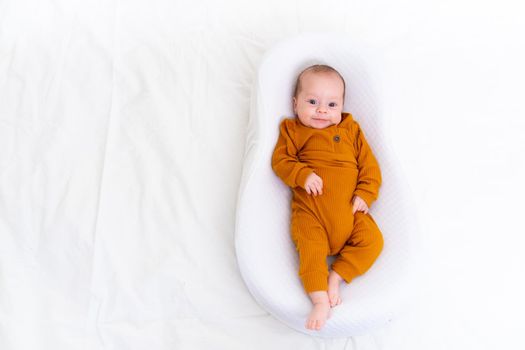 The baby is lying in a cocoon of copy space . The baby is 0-3 months old. A contented infant. An article about choosing a cocoon for newborns. An article about the benefits of cocoon. An article about colic . White background. High quality photo