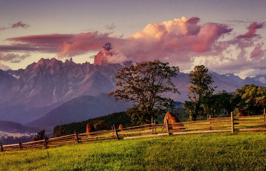 Wide Angle View of a Wooden Fence Under a Blue Sky with a Beautiful Meadow Blanketed with Wildflowers