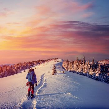 Fantastic winter landscape and trodden tourist path leading into the mountains. On the eve of the holiday. Carpathian, Ukraine, Europe.