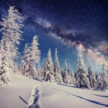 starry sky in winter snowy night. fantastic milky way in the New Year's Eve. Starry sky snowy winter night. The Milky Way is a fantastic New Year's Eve. Winter road in the mountains