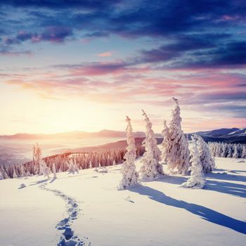 Fantastic winter landscape and worn trail leading into the mountains. Sunset. In anticipation of the holiday. Carpathian, Ukraine, Europe.