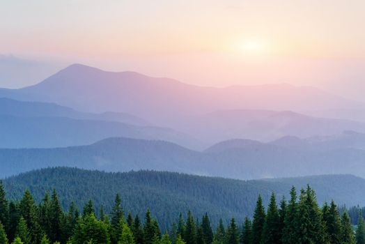 Fantastic foggy day and bright hills by sunlight. Dramatic morning scenery. Carpathian, Ukraine, Europe.