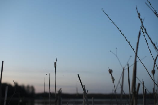 Nature landscape. Reflection, blue sky and yellow sunlight. landscape during sunset.