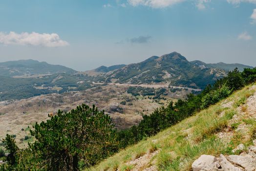 Panoramic view of idyllic mountain scenery in the Alps with fresh green meadows in bloom on a beautiful sunny day. Summer mountain landscape Landcscape hight mountains. Landscape in the fields.