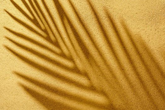 Dense pattern shadow branches of the tropics on the sand on a summer day outdoors.