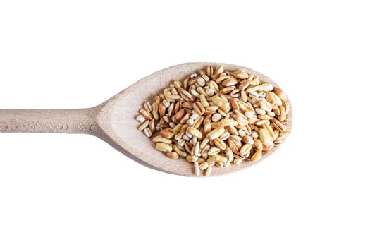 wheat grain in the wooden spoons isolated on white background