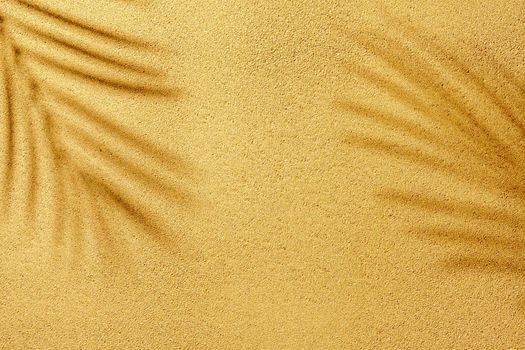 Summer shadow of a palm tree branch on the yellow sand of the beach on a bright sunny day with copy space.
