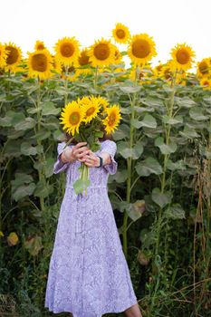 A beautiful young girl in a dress holds a bouquet of sunflowers in her hands stands on the road among a large field with sunflowers