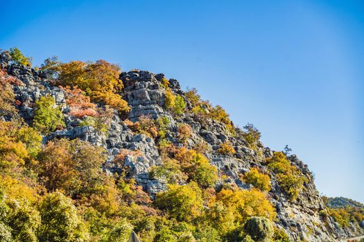 Beautiful autumn view of yellow trees, road and mountains, Montenegro.