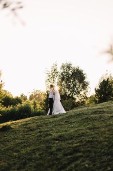 Bride and groom, newlyweds, honeymoon on the beach sunset sun at forest