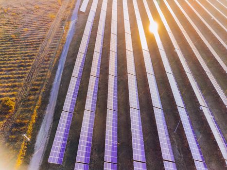 Aerial top view of a solar panels power plant. Photovoltaic solar panels at sunrise and sunset in countryside from above. Modern technology, climate care, earth saving, renewable energy concept