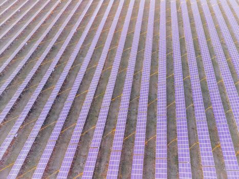 Aerial top view of a solar panels power plant. Photovoltaic solar panels at sunrise and sunset in countryside from above. Modern technology, climate care, earth saving, renewable energy concept