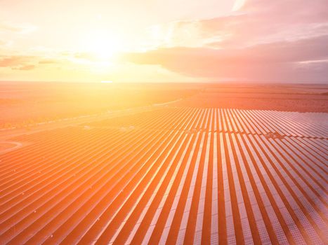 Aerial top view of a solar panels power plant. Photovoltaic solar panels at sunrise and sunset in countryside from above. Modern technology, climate care, earth saving, renewable energy concept