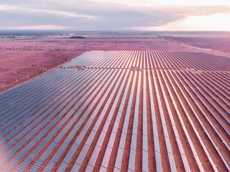 Aerial top view of a solar panels power plant. Photovoltaic solar panels at sunrise and sunset in countryside from above. Modern technology, climate care, earth saving, renewable energy concept