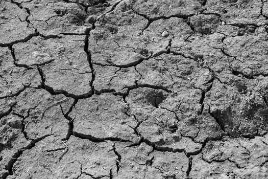 Texture of a cracked surface of a soil