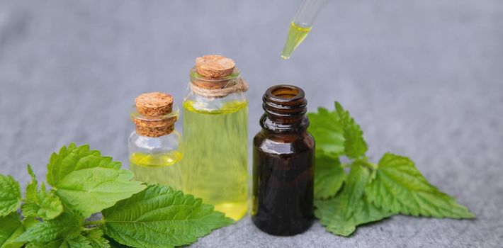 nettle extract in a small jar. Selective focus.nature